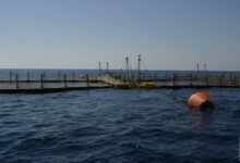 Photo of Отдых на Кипре: море, солнце и античные раскопки