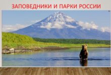 Photo of Экскурсии по Литве: курорты и национальные парки
