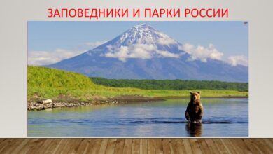 Photo of Экскурсии по Литве: курорты и национальные парки